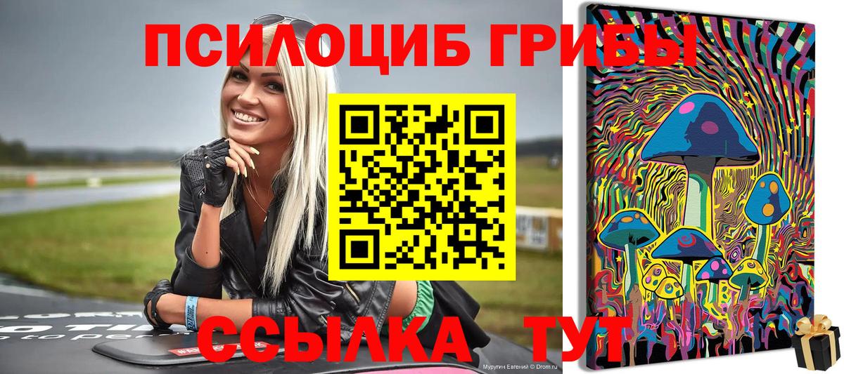 Урус-Мартан  Псилоцибиновые грибы прущие грибы  Псилоцибиновые грибы прущие грибы  Вход с VPN 